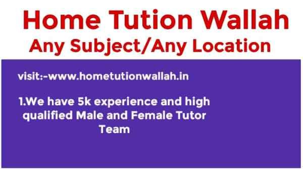 Home Tution Wallah Muzaffarpur 8084936244